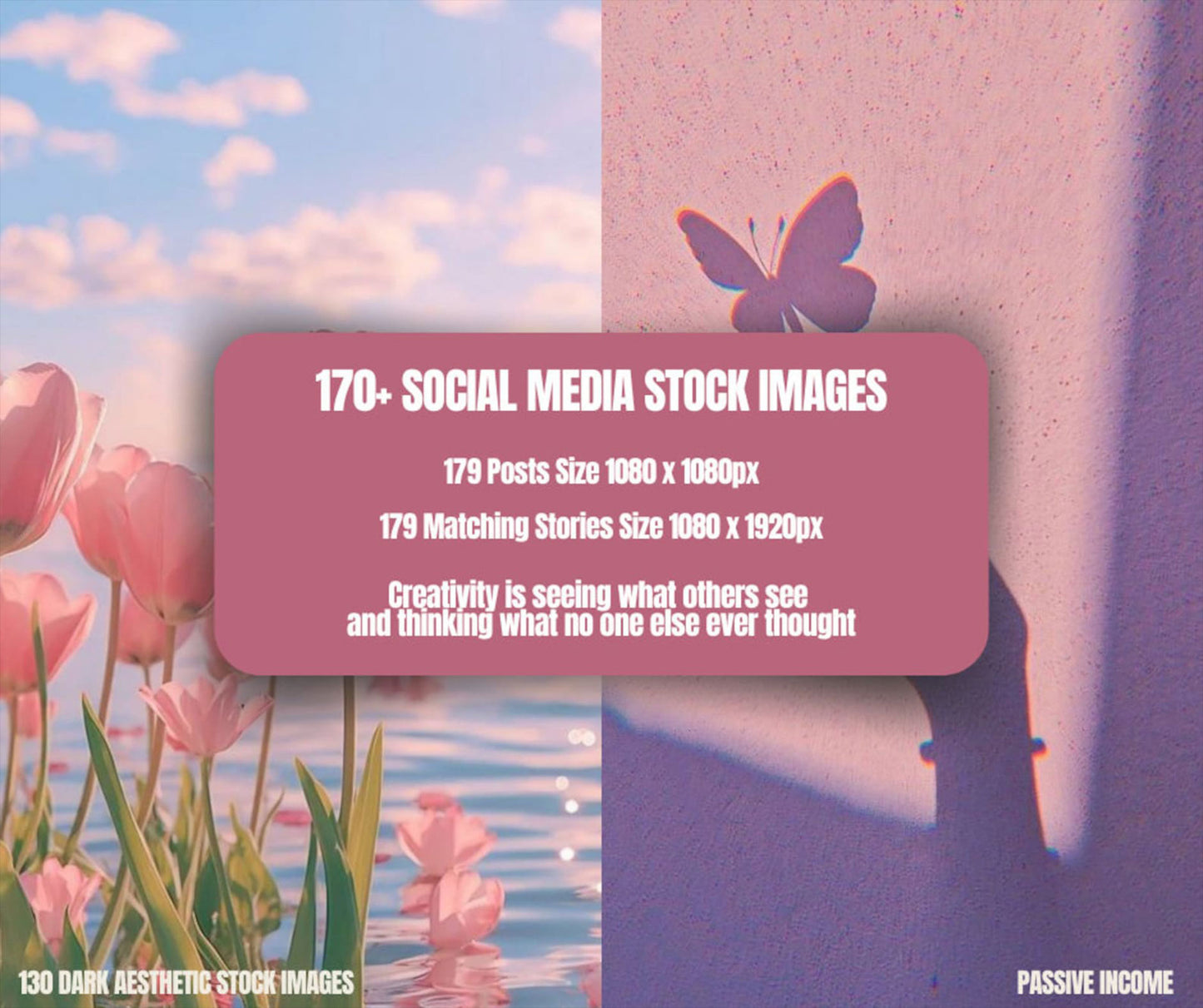 170+ Pink Boho Aesthetic Social Media Stock Images